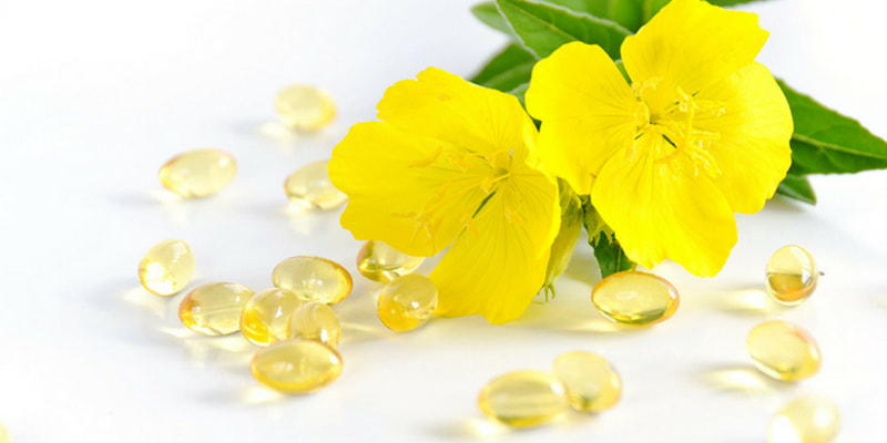 Evening primrose herbs for pregnancy and breastfeeding health RootMama