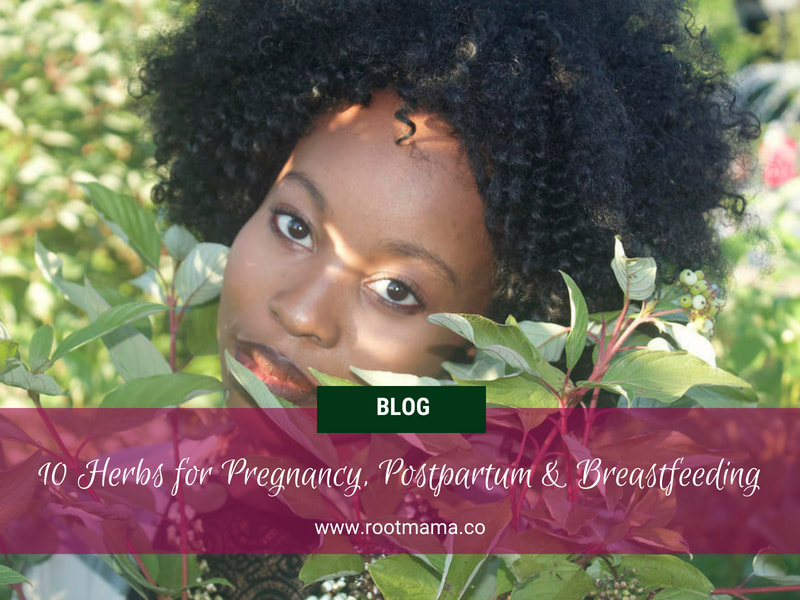 Black woman in herb garden pregnancy and breastfeeding herbs for promoting health RootMama
