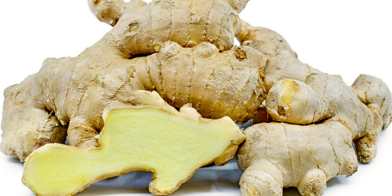 Ginger root herbs for pregnancy and breastfeeding health RootMama